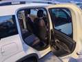 Fiat Panda TwinAir 85 4x4 Cross Weiß - thumbnail 9