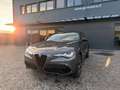 Alfa Romeo Stelvio 2.0 Turbo 280 CV AT8 Q4 Veloce Grigio - thumbnail 1