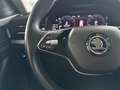 Skoda Kamiq 1.0 TSI Ambition 81kW DSG Rojo - thumbnail 10