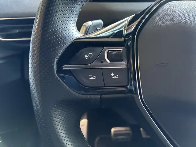 Peugeot 3008 view 13