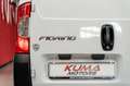 Fiat Fiorino 1.3 MJT 95cv Cargo SX Wit - thumbnail 23