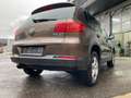 Volkswagen Tiguan 2,0 TDI Sky BMT DPF Braun - thumbnail 12