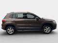 Volkswagen Tiguan 2,0 TDI Sky BMT DPF Braun - thumbnail 3