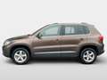 Volkswagen Tiguan 2,0 TDI Sky BMT DPF Braun - thumbnail 6