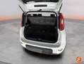 Fiat Panda City Life Hybrid 1.0 Gse 51kw (70CV) Blanc - thumbnail 10