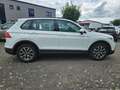 Volkswagen Tiguan Life PDC SHZ LHZ NAV DAB ACC APP Weiß - thumbnail 3