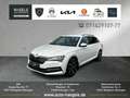 Skoda Superb Combi 2.0 TDI L&K 4x4+ACC+Standheiz. LED Weiß - thumbnail 1