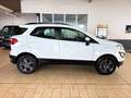 Ford EcoSport 1.0 *KLIMA+SITZH+BLUETOOTH+16'ST-LINE* Blanc - thumbnail 10