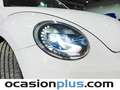 Volkswagen Beetle 2.0TDI Design DSG 140 Blanco - thumbnail 12