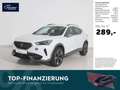 CUPRA Formentor 2.0 TSI 4Drive DSG AHK/Matrix/StHz/RFK Weiß - thumbnail 1