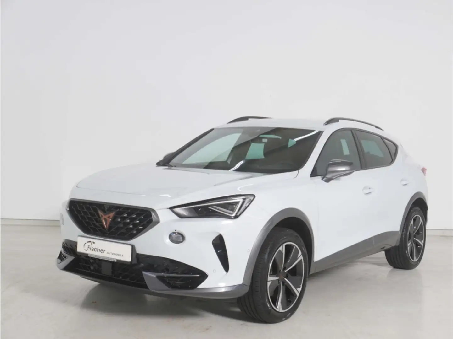 CUPRA Formentor 2.0 TSI 4Drive DSG AHK/Matrix/StHz/RFK Weiß - 2