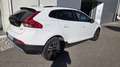 Volvo V40 Cross Country 2.0 d2 Momentum geartronic my17 full optional - thumbnail 3