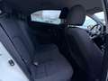 Kia Rio 1.2 CVVT Plus Pack Weiß - thumbnail 9