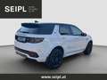 Land Rover Discovery Sport P300e PHEV AWD R-Dynamic SE Aut. HeadUp/20"Blac... Weiß - thumbnail 4