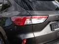 Ford Kuga 2.0 EcoBlue Hybrid ST-Line X Navi|RLS|RFK|LRHZ| Grijs - thumbnail 17