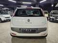 Fiat Punto Evo 1.4 5 porte Emotion GPL Bianco - thumbnail 5