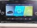 SEAT Ibiza 1.2 TSI Reference Negro - thumbnail 12
