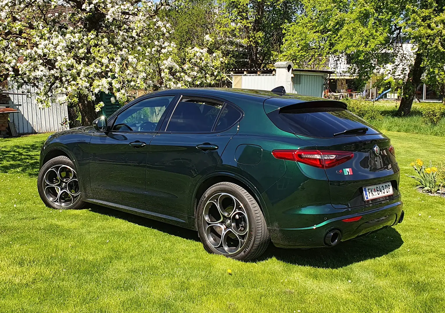 Alfa Romeo Stelvio Veloce 2,2 16V 210 AT8 Q4 Leasing; AHK; 8-fach; - 1