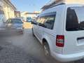 Volkswagen Caddy 2.0 TDI (5-Si.) 4MOTION Edition 30 Blanc - thumbnail 7