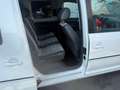 Volkswagen Caddy 2.0 TDI (5-Si.) 4MOTION Edition 30 Blanc - thumbnail 14