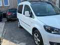 Volkswagen Caddy 2.0 TDI (5-Si.) 4MOTION Edition 30 Blanc - thumbnail 4