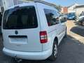 Volkswagen Caddy 2.0 TDI (5-Si.) 4MOTION Edition 30 Blanc - thumbnail 6
