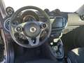 smart forTwo eq Prime 22kW Grigio - thumbnail 9