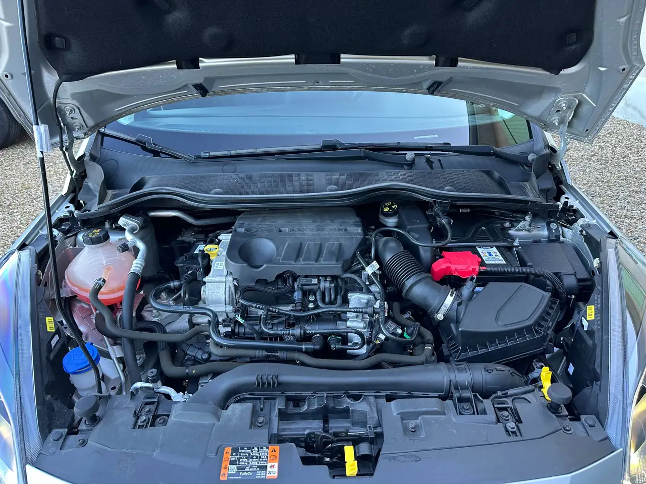 Ford Fiesta Active — photo 21