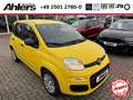 Fiat New Panda Pop+KLIMA+PDC+ASSISTENTEN+DIGITACHO+ISOFIX+ Gelb - thumbnail 1