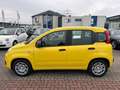 Fiat New Panda Pop+KLIMA+PDC+ASSISTENTEN+DIGITACHO+ISOFIX+ Gelb - thumbnail 4