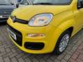 Fiat New Panda Pop+KLIMA+PDC+ASSISTENTEN+DIGITACHO+ISOFIX+ Gelb - thumbnail 12