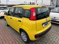 Fiat New Panda Pop+KLIMA+PDC+ASSISTENTEN+DIGITACHO+ISOFIX+ Gelb - thumbnail 5