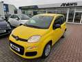 Fiat New Panda Pop+KLIMA+PDC+ASSISTENTEN+DIGITACHO+ISOFIX+ Gelb - thumbnail 3