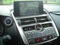 Lexus NX 300h Business Plus AWD Negro - thumbnail 15