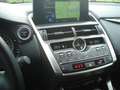 Lexus NX 300h Business Plus AWD Schwarz - thumbnail 16