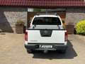 Nissan Navara Double Cab LE V6 4X4 *TÜV&Service Neu* Білий - thumbnail 5
