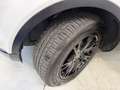 Land Rover Range Rover Evoque 5p 2.2 td4 Launch edition 150cv - thumbnail 14