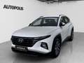 Hyundai TUCSON 1.6 Pure Blanc - thumbnail 12