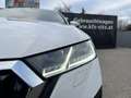 Skoda Octavia Combi 2,0 TDI DSG | AHK*MATRIX Weiß - thumbnail 35
