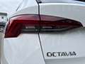 Skoda Octavia Combi 2,0 TDI DSG | AHK*MATRIX Weiß - thumbnail 38
