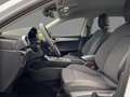 SEAT Leon Sportstourer1.5 eTSI FR DSG Navi Matrix Kam Weiß - thumbnail 7