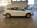 Renault Megane Mégane 1.5 dCi 110CV SporTour Limited Bianco - thumbnail 6
