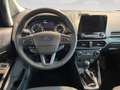 Ford EcoSport 1.0 ecoboost Titanium s&s 125cv my20.25 - PROMO Nero - thumbnail 24