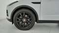 Jaguar E-Pace 2.0d i4 mhev SE awd 163cv auto Bianco - thumbnail 11