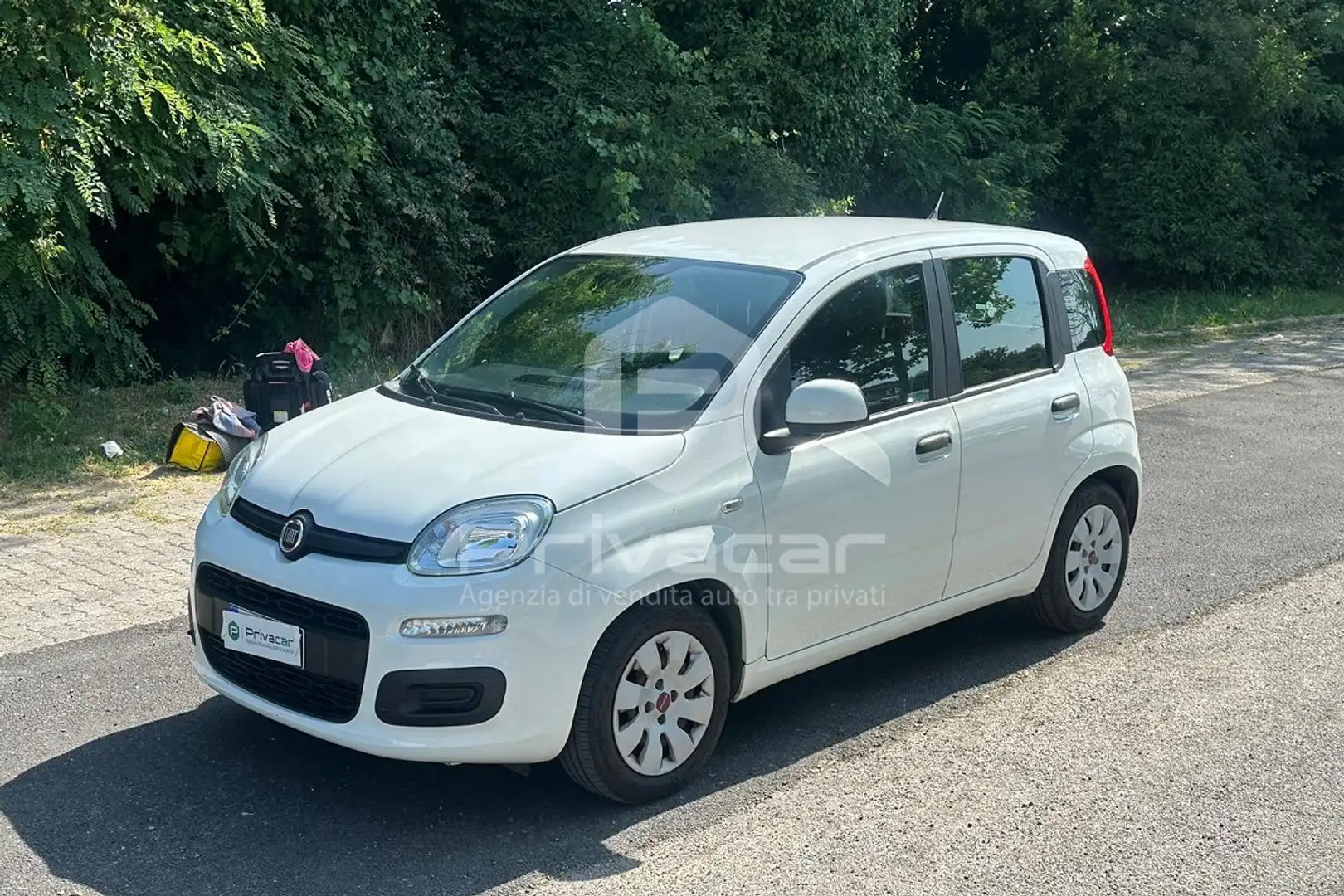 Fiat Panda Panda 1.2 EasyPower Lounge Bianco - 1
