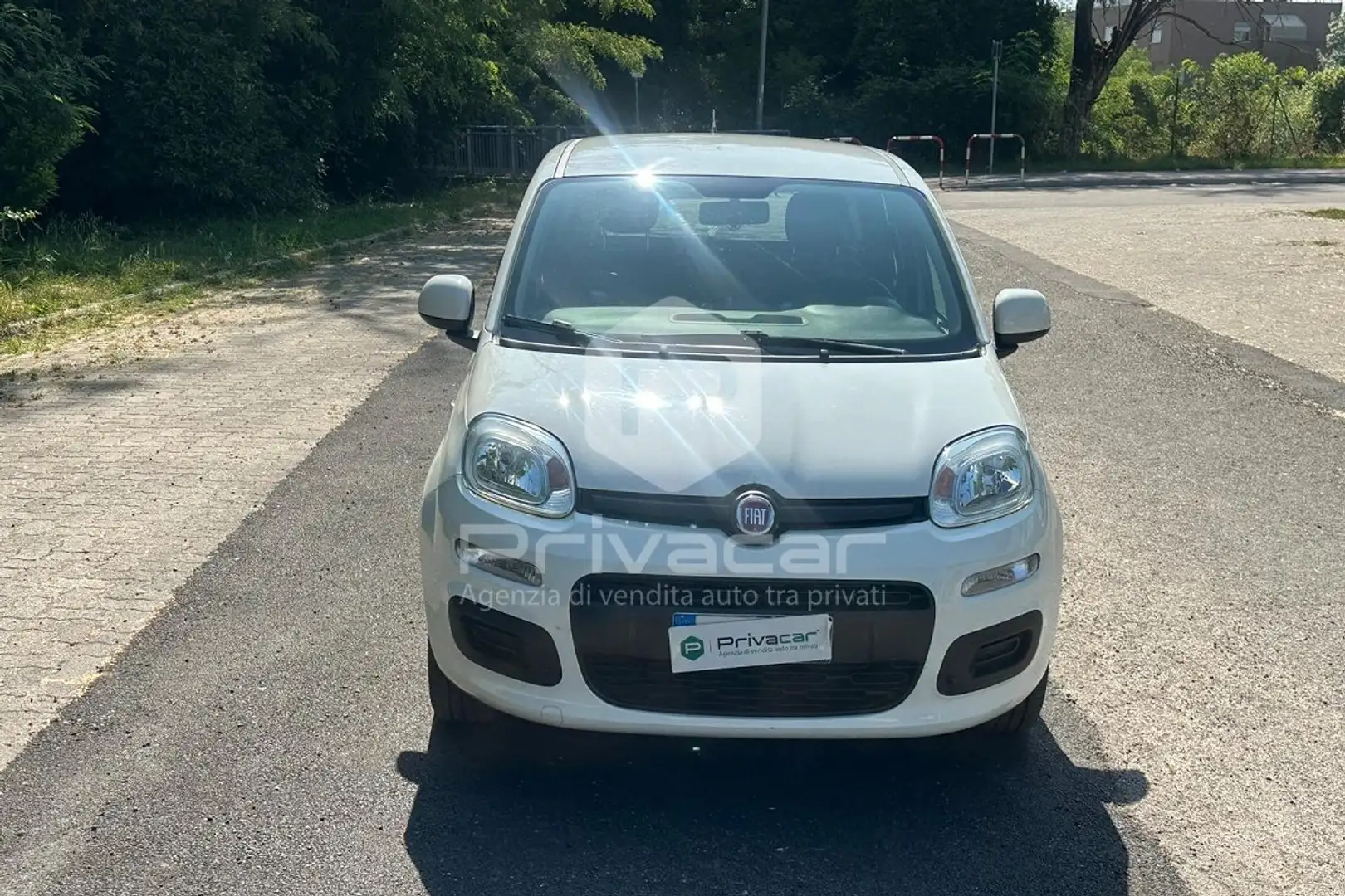 Fiat Panda Panda 1.2 EasyPower Lounge Bianco - 2