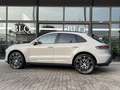 Porsche Macan 2.0 T 265cv pdk Gris - thumbnail 6
