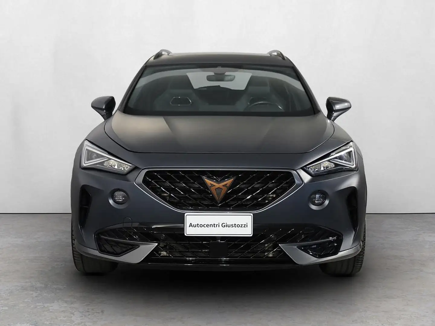 CUPRA Formentor 2.0 tsi vz 245cv dsg Grigio - 2