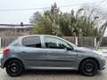 Peugeot 206 Neues Pickerl,1,4 Benzin - thumbnail 11