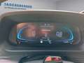 Hyundai i20 (BC3) GO 1.0 T-GDI b6bg1-PP1 Grün - thumbnail 14